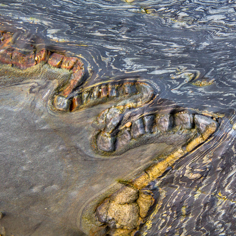 PLIEGUES CALABÓN: Primer puesto en el X Certamen Nacional de Fotografía Geológica
