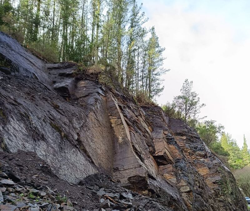 Análisis de emergencia: El argayo de Pelorde en la AS-12 (19/02/2026)