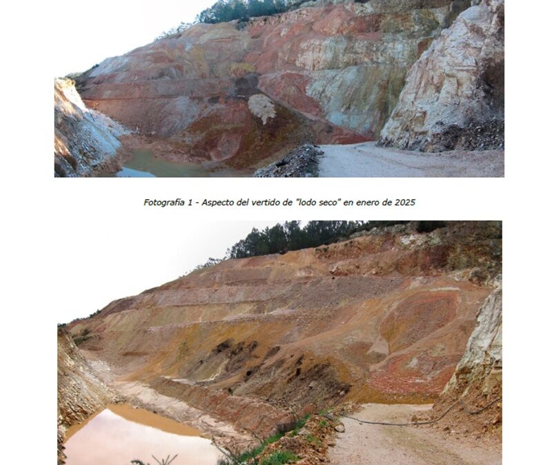 INFORME ANUAL DE SEGUIMIENTO Y CONTROL DE LA ESTABILIDAD DEL TALUD SUR DE LA CORTA ADOUFE DE LA MINA CASTILLO. CONCEJO DE A ESTRADA (PONTEVEDRA)