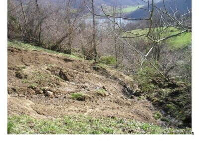 ANÁLISIS DE LA ESTABILIDAD DE UNA PARCELA, SITUADA EN LA LOCALIDAD DE CAMPIELLOS – CONCEJO DE SOBRESCOBIO (ASTURIAS), EN LA QUE SE PRODUJO UN DESLIZAMIENTO EN EL AÑO 2009, Y DE LA POSIBLE RELACIÓN ENTRE SU ESTADO Y LOS DAÑOS REGISTRADOS EN EL AÑO 2019 EN LA PARCELA COLINDANTE (2020)